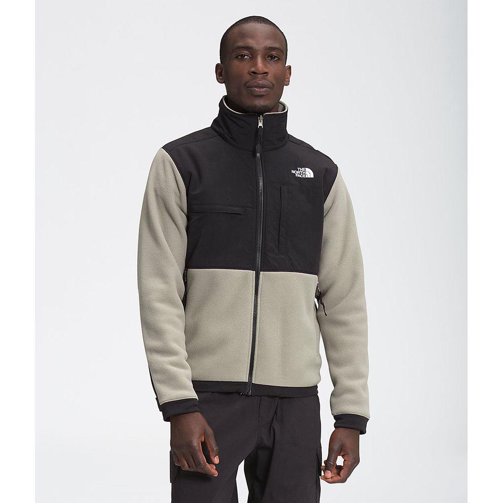 The North Face Denali 2 Ανδρικα Μπουφάν Fleece - Γκρι (VBDZ95678)